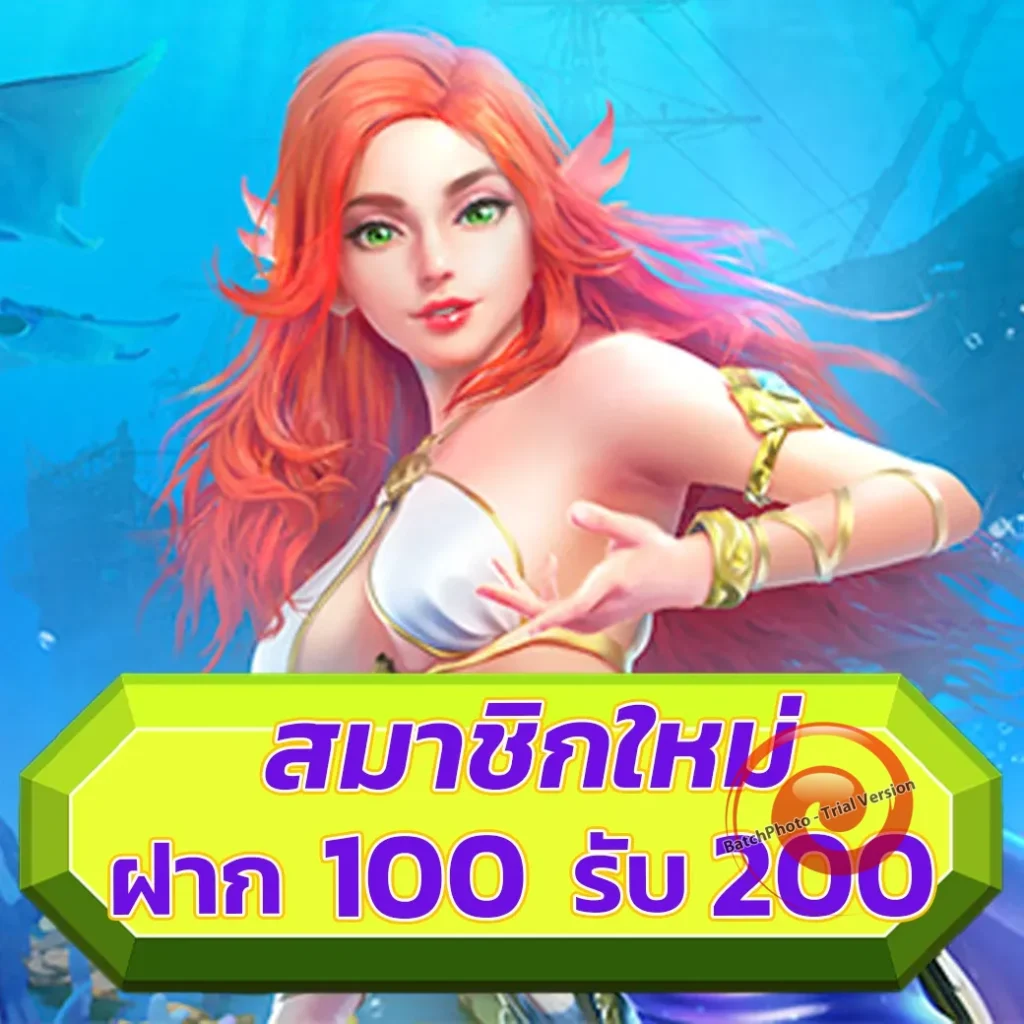 yummy 55 สมัครฟรี